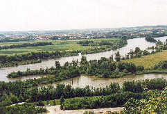 Donau- Altwasser mit Hinterland