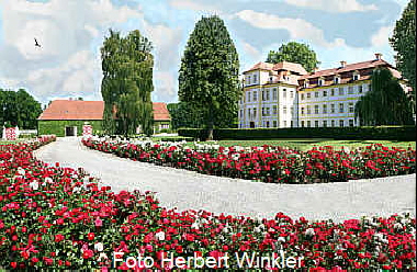 Schloss Köfering - Rosenspalier Zufahrt zum Schloss